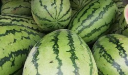 上海网红吃瓜事件,揭秘网络舆论的风暴与真相