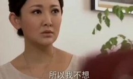 小二哥前妻爆料视频,揭秘婚姻背后的惊人真相